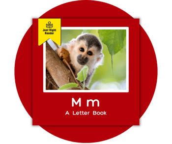 2-Oct-30-2025-09-41-05-2735-PM